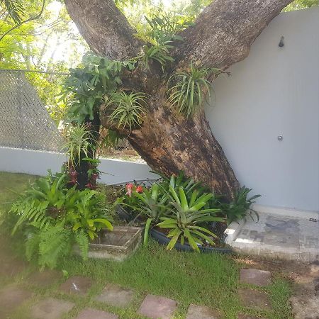 Always Summer Inn Isla Culebra Luaran gambar