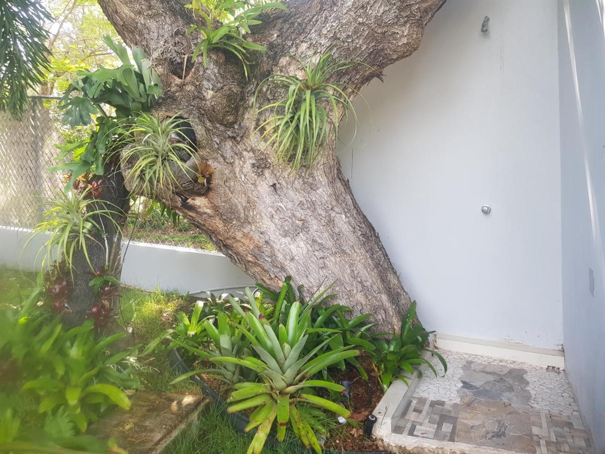 Always Summer Inn Isla Culebra Luaran gambar